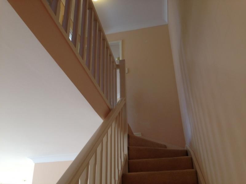 259 Hellawell Road, Sunnybank Hills QLD 4109