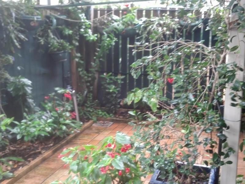 9 Santa Cruz Blvd, Clear Island Waters QLD 4226