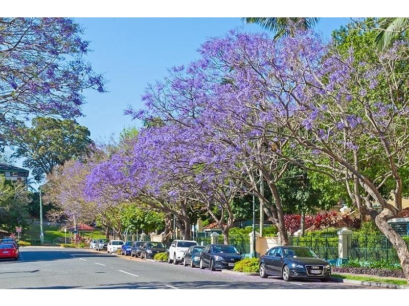 52 NEWSTEAD TERRACE, Newstead QLD 4006