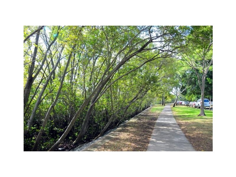 10 Pidgeon Close, West End QLD 4101