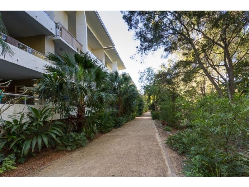 40 Nathan ave, Ashgrove QLD 4060