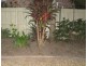 60 Whitby, Southport QLD 4215