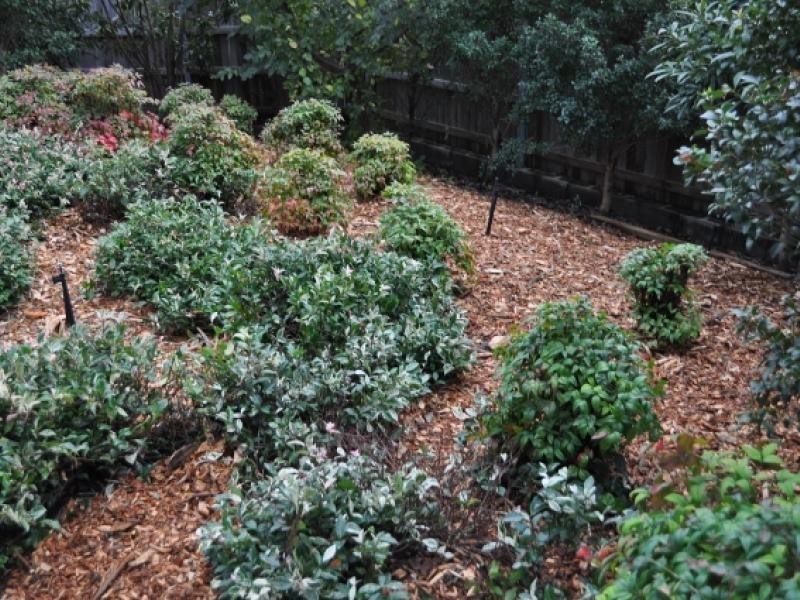 130 Jutland Street, Oxley QLD 4075