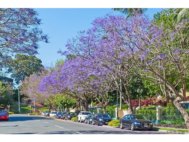 52-62 NEWSTEAD TERRACE, Newstead QLD 4006