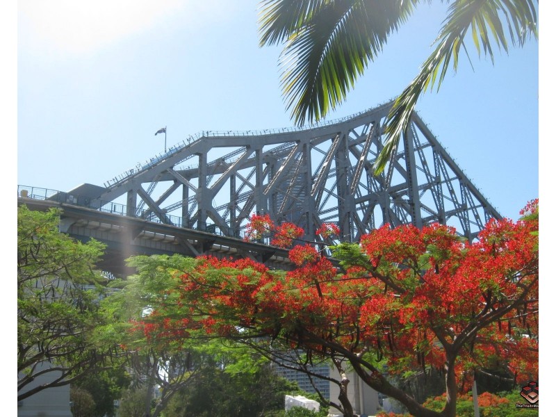 ID:3792693/1 Holman St 1 Holman Street, Kangaroo Point QLD 4169