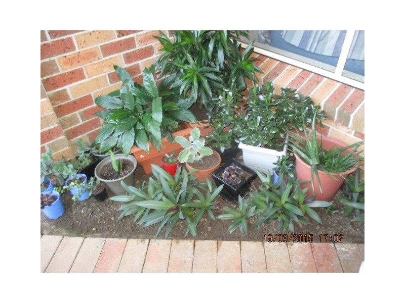 32 Riverview Road, Nerang QLD 4211