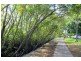 029/10 Pidgeon Close, West End QLD 4101