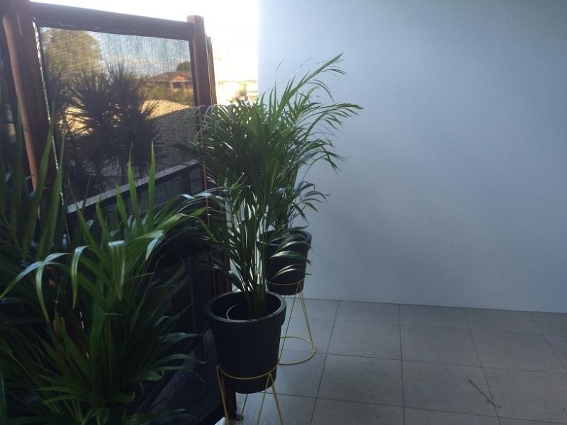UNIT 1209/ 8 WATERFORD COURT, Bundall QLD 4217