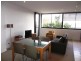 441/ 10 Pidgeon Close, West End QLD 4101