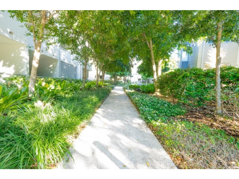 71 Beeston Street, Teneriffe QLD 4005