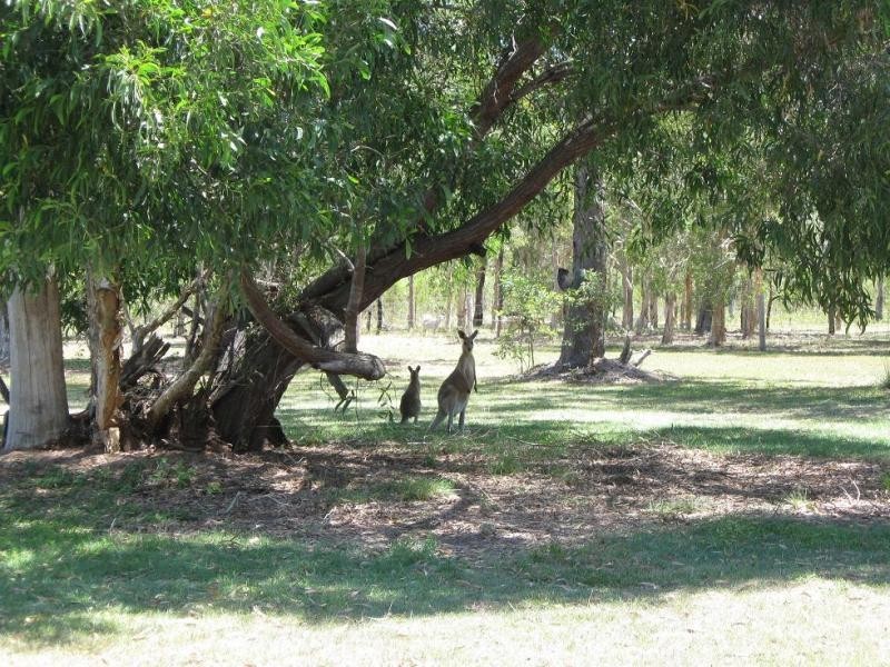 6B Silkwood Drive, Urangan QLD 4655