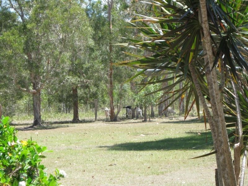 6B Silkwood Drive, Urangan QLD 4655