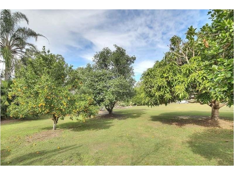 100 Kallioota Street, Greenbank QLD 4124
