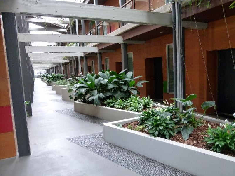 41 / 36 Vernon Terrace, Teneriffe QLD 4005