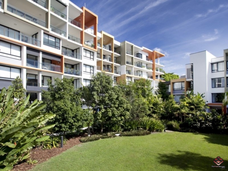 253 / 10 Pidgeon Close, West End QLD 4101
