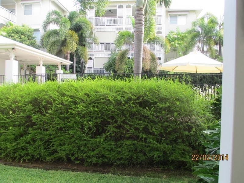 4 / 42 Warburton Street, North Ward QLD 4810