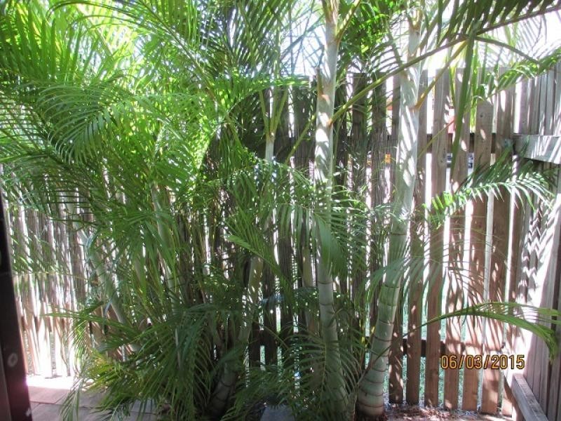 6/3 Primrose Street, North Ward QLD 4810