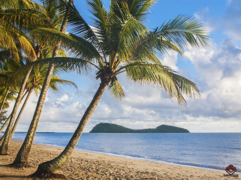 81-85 Cedar Road, Palm Cove QLD 4879