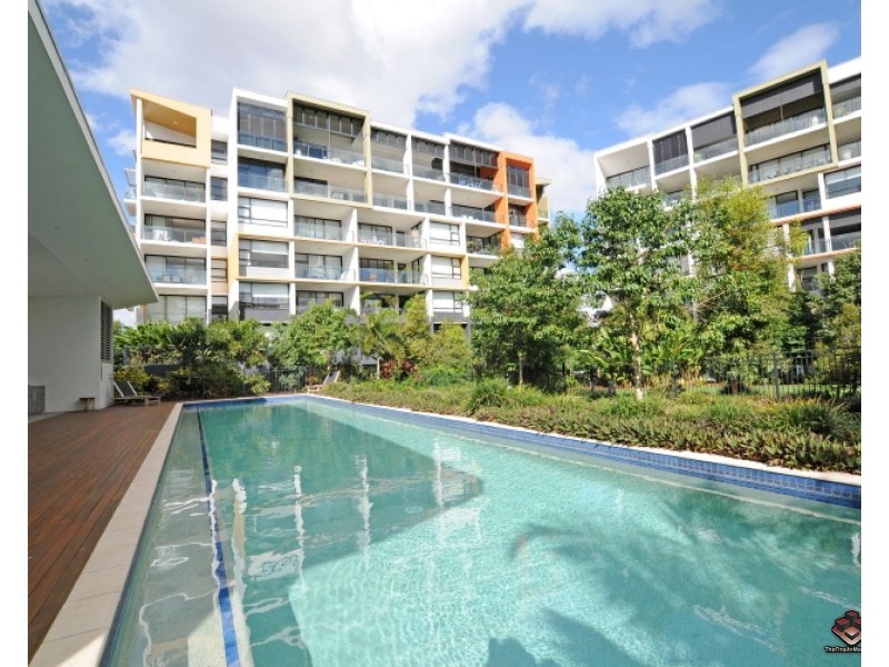 241 / 10 Pidgeon Close, West End QLD 4101