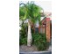 1 / 60 Whitby, Southport QLD 4215