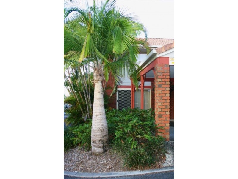 1 / 60 Whitby, Southport QLD 4215