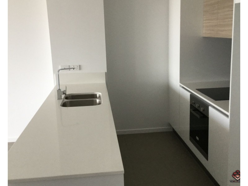 ID:3805846/ 7 WATERFORD COURT, Bundall QLD 4217