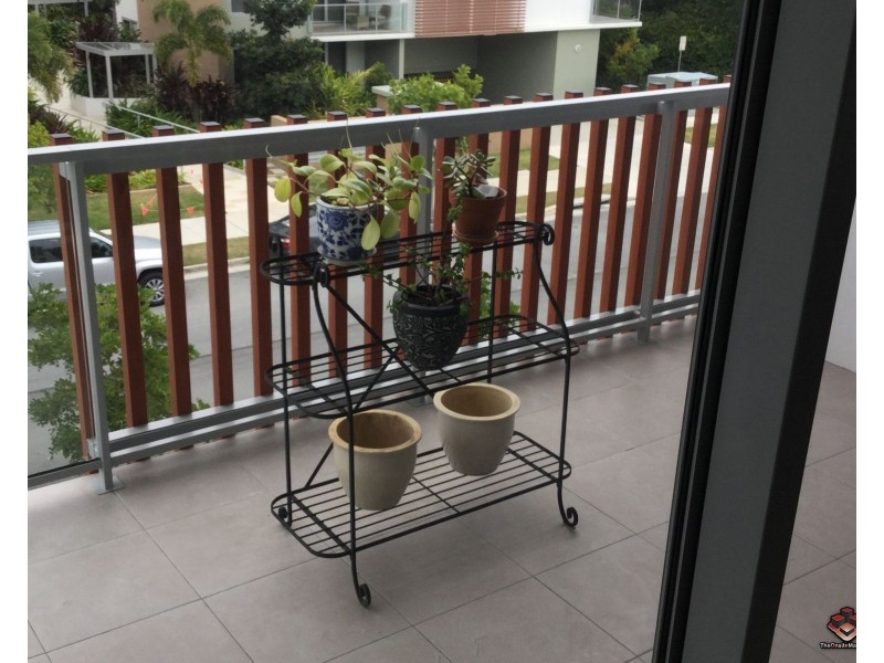 ID:3805846/ 7 WATERFORD COURT, Bundall QLD 4217