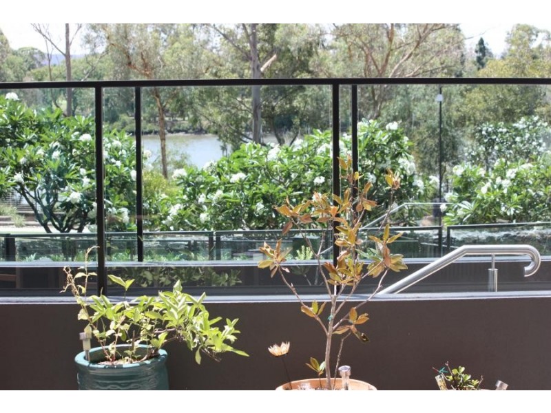 5203/197 King Arthur Terrace, Tennyson QLD 4105