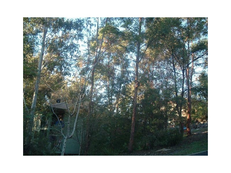 31 Simpons Road, Elanora QLD 4221