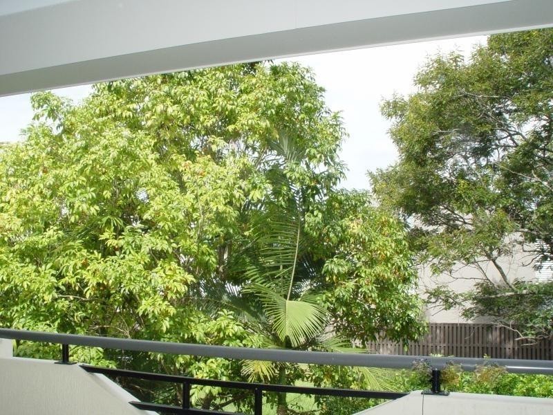 325 Hawthorne Road, Hawthorne QLD 4171