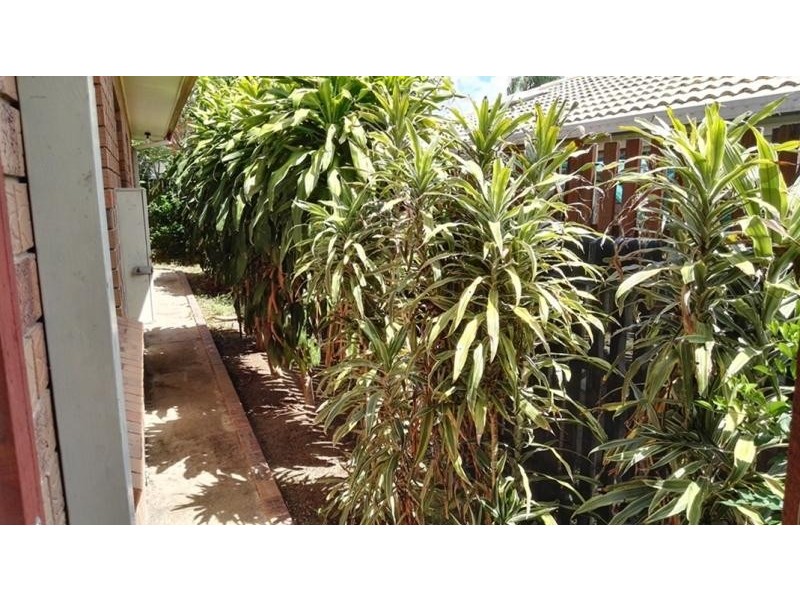 18 Macbeth Place, Sunnybank Hills QLD 4109
