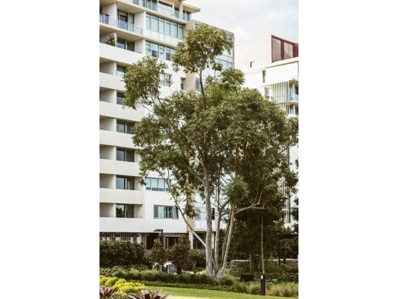 4205 / 205 King Arthur Terrace, Tennyson QLD 4105