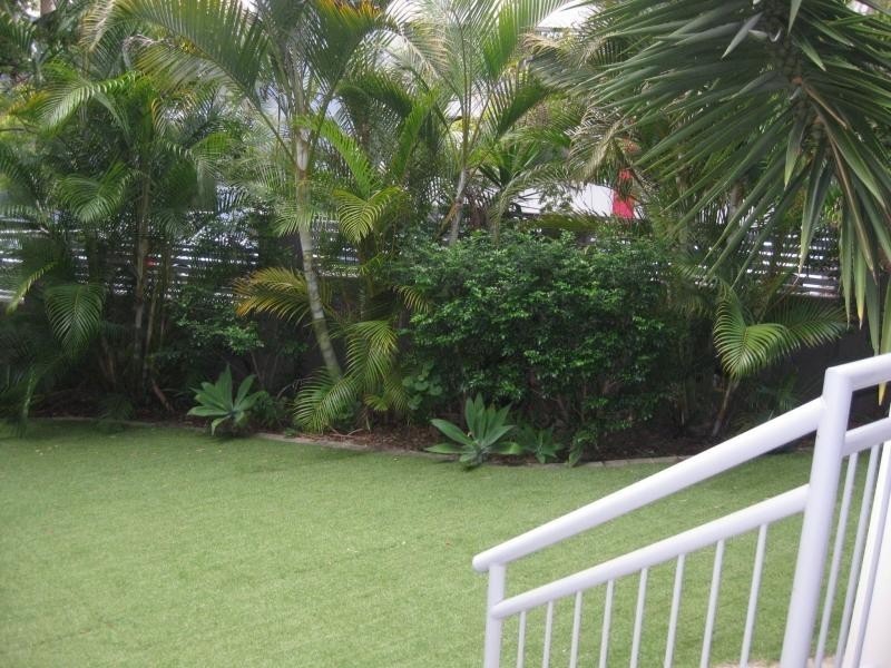 3/36 Holland Street, Toowong QLD 4066