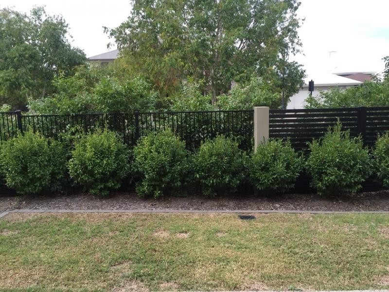 North Lakes QLD 4509