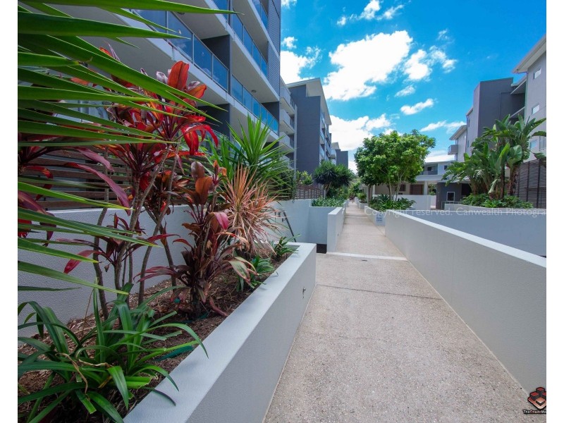 ID:3830102/95 Clarence Road, Indooroopilly QLD 4068