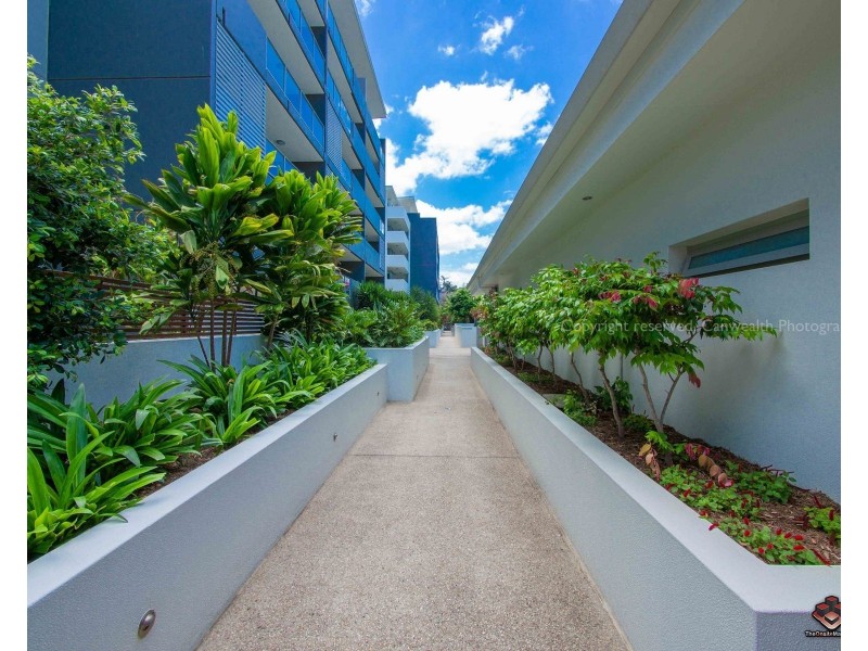 ID:3830102/95 Clarence Road, Indooroopilly QLD 4068