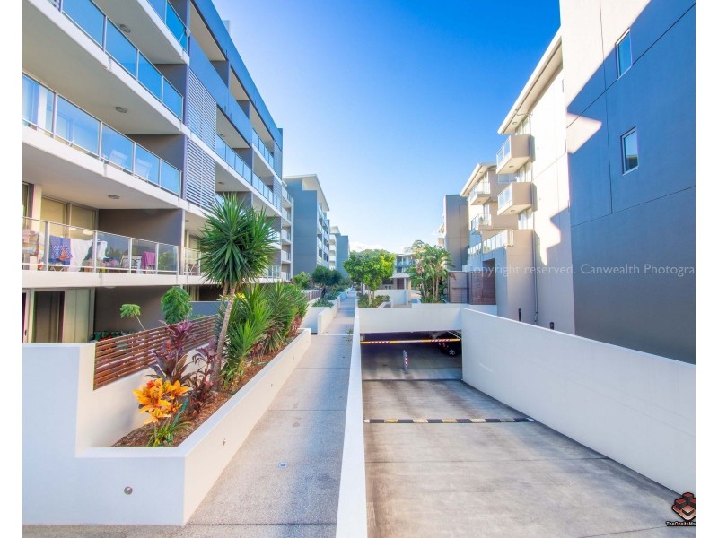 ID:3830102/95 Clarence Road, Indooroopilly QLD 4068