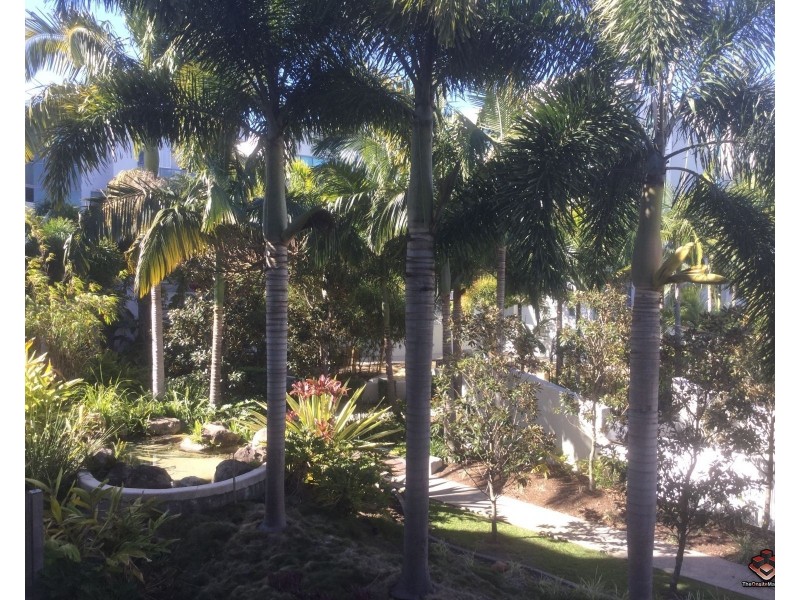 20-28 Bayview Street, Runaway Bay QLD 4216