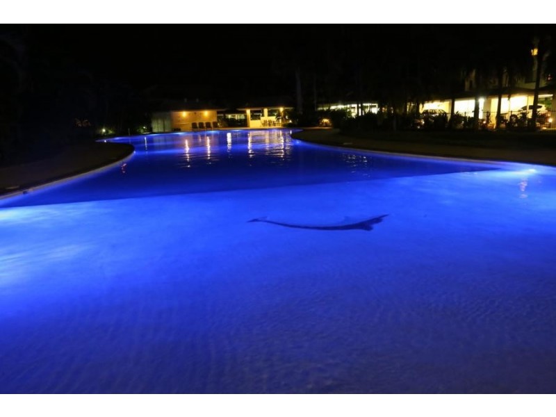 111-119 Bowen Road, Rosslea QLD 4812