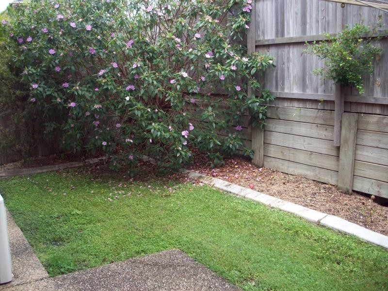 37 Johnston Street, Carina QLD 4152