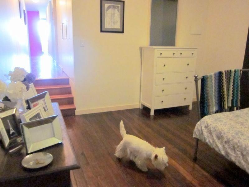 816 / 64 Macquarie Street, Teneriffe QLD 4005