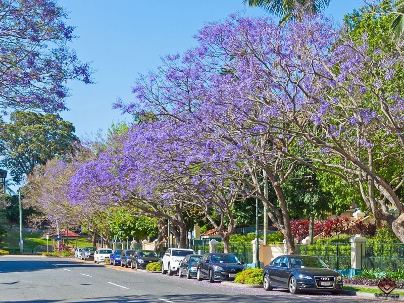 53/52 Newstead Terrace, Newstead QLD 4006