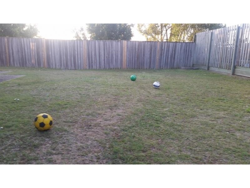 Springfield QLD 4300