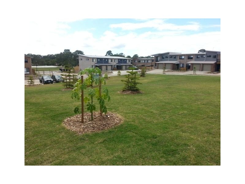 47 Freshwater Street, Thornlands QLD 4164