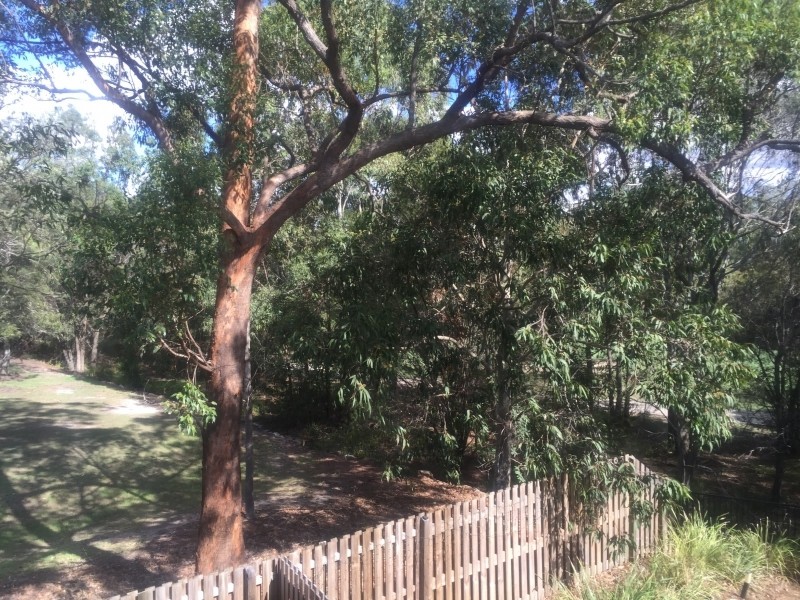 North Lakes QLD 4509