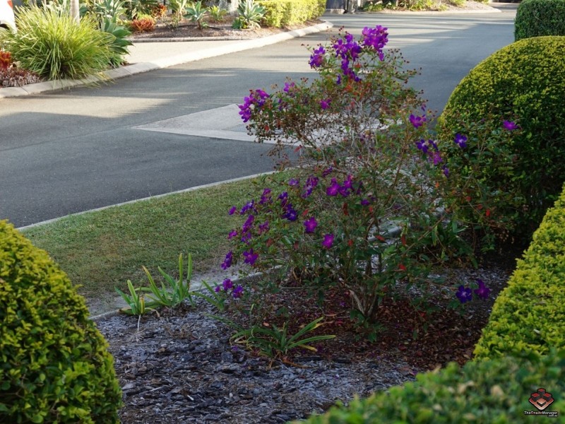 Deception Bay QLD 4508