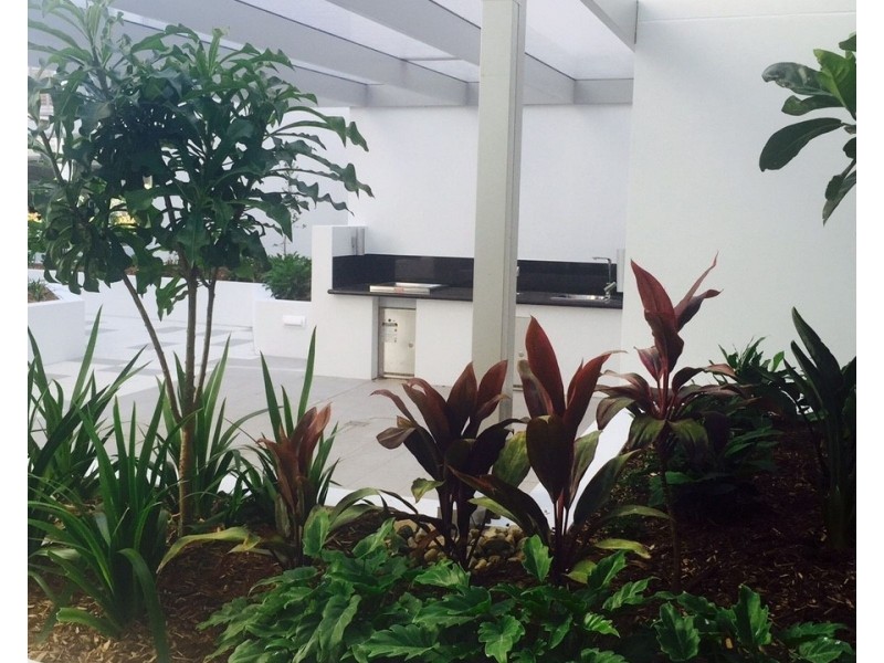 3312/1-7 Waterford Court, Bundall QLD 4217