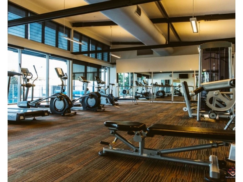 5323/197 King Arthur Terrace, Tennyson QLD 4105