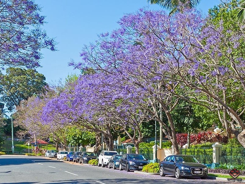 52 Newstead Terrace, Newstead QLD 4006