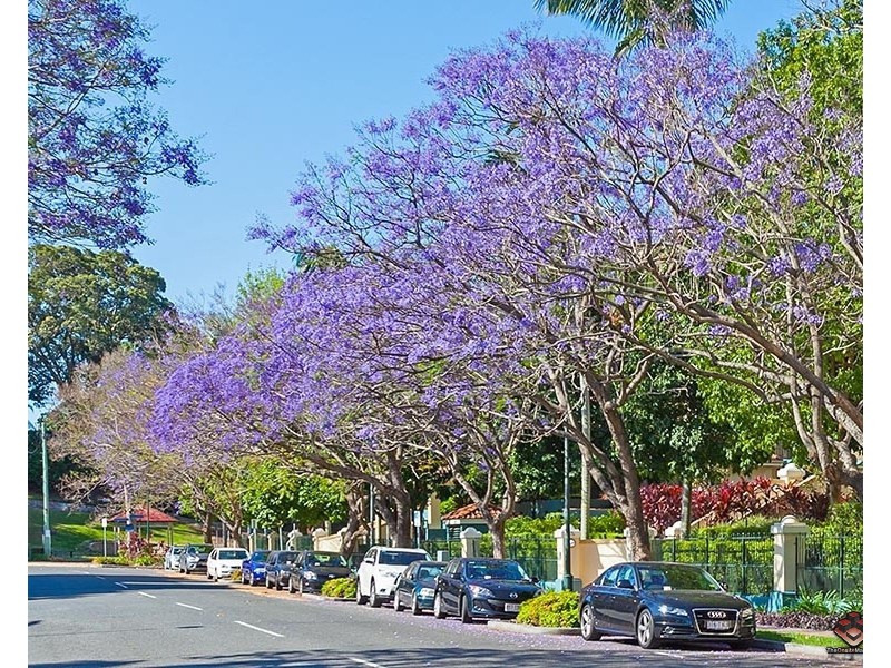 52-62 Newstead Terrace, Newstead QLD 4006